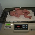 3.7 kg (or 8.4 in pounds)